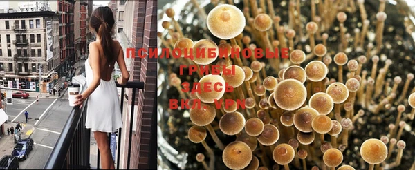дмт Бугульма