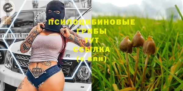 дмт Бугульма