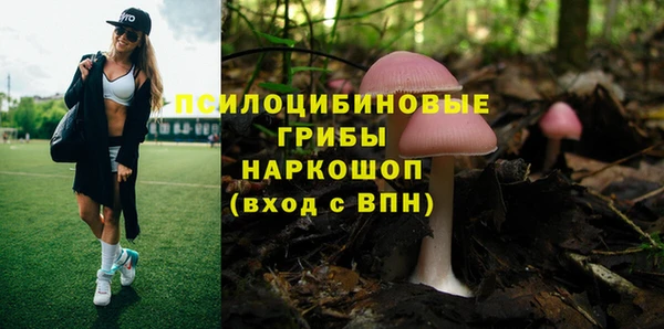 MDMA Premium VHQ Бородино